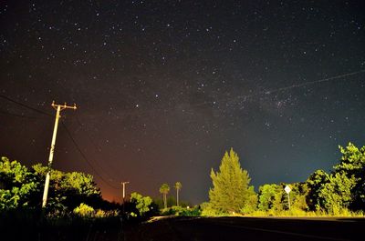 Low angle view of trees against star field at night