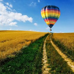 Low angle view of hot air balloon flying over agricultural field against sky