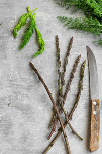 High angle view of leaves on table
