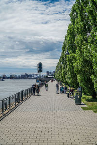 People on footpath amidst trees in city against sky