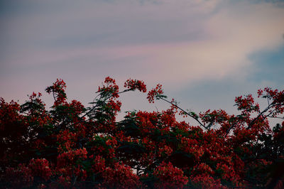 sky