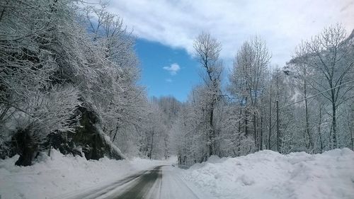 Snow covered road amidst trees against sky