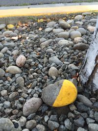 Pebbles on the ground