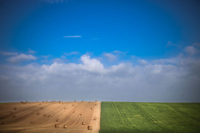 Scenic view of field against sky