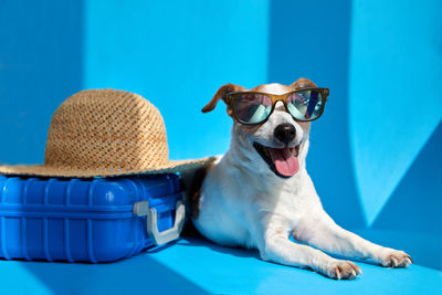 Portrait of woman with dog against blue sky