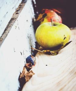 Close-up of fruit