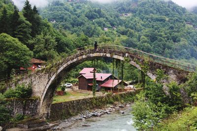 Bridge by trees on mountain