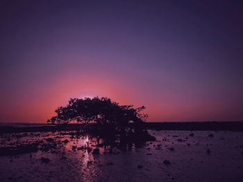 Silhouette tree by sea against romantic sky at sunset