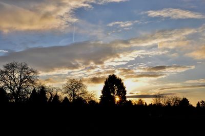 Silhouette trees on field against sky at sunset