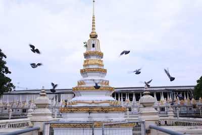 Birds flying in a building