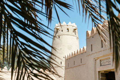 Al jahili fort in al ain, view from underneath the date palm tree, closeup