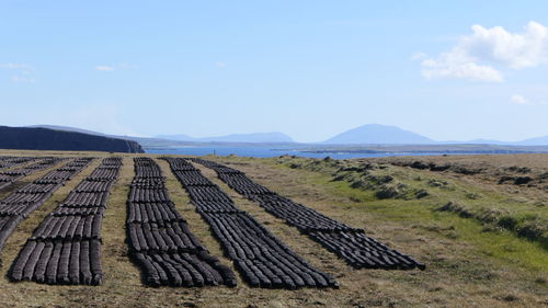 Panoramic view of field against sky