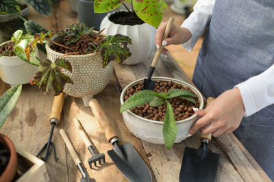 A farmer is caring for a plant in a pot with equipment on a table in a greenhouse.