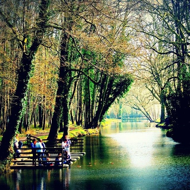 tree, water, lifestyles, men, leisure activity, lake, transportation, person, sitting, mode of transport, rear view, nautical vessel, river, tranquility, nature, reflection, bench