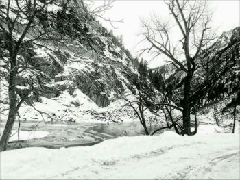 Scenic view of snow covered landscape