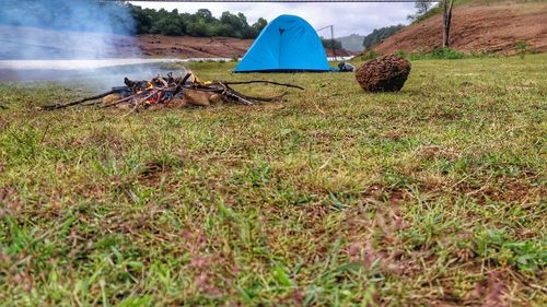 Tent in field