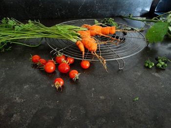 High angle view of tomatoes in container