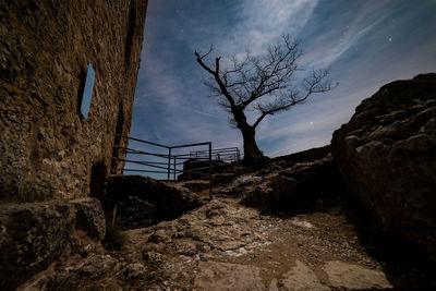 Low angle view of bare trees against sky