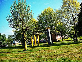 Trees in park against clear sky