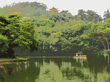 Reflection of trees in lake
