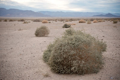 Hay bales on field against sky