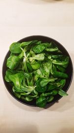 High angle view of green vegetables on table