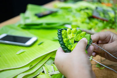 Close-up of hand holding leaves