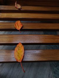 Close-up of orange leaf on wooden table