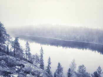 Scenic view of snowcapped forest against sky during winter