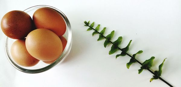 High angle view of eggs in container on table