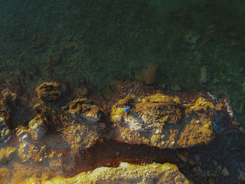 High angle view of rock formation in sea
