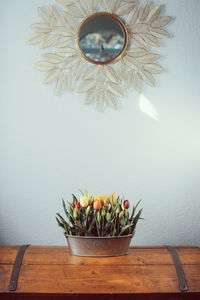 Potted plant on table against wall