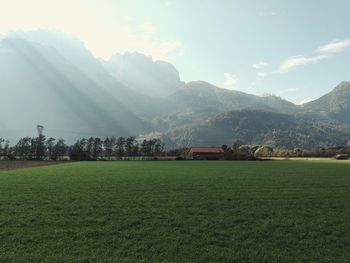 Scenic view of field against sky
