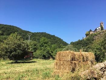 Scenic view of field against clear sky