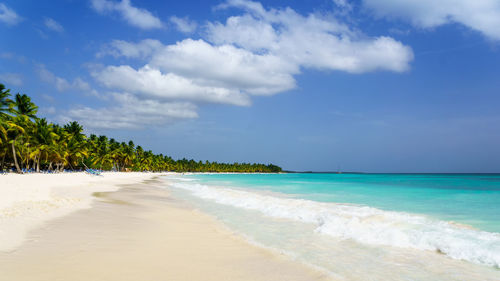 Scenic view of beach against sky