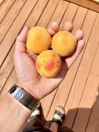 Cropped image of hand holding fruits