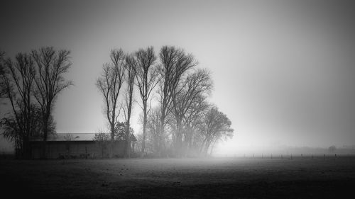 Bare trees on field against sky