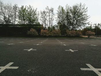 Road amidst trees against sky