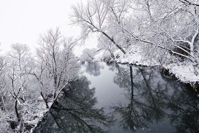 Low angle view of silhouette trees against sky