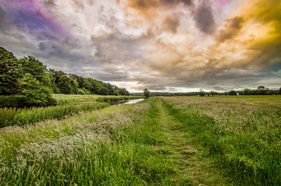 Scenic view of agricultural field against sky