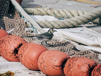 Low section of man with fishing net on beach