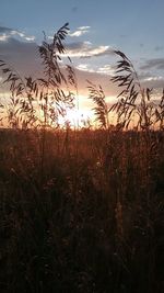 Scenic view of landscape against cloudy sky