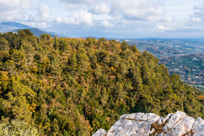 Scenic view of trees and mountains against sky