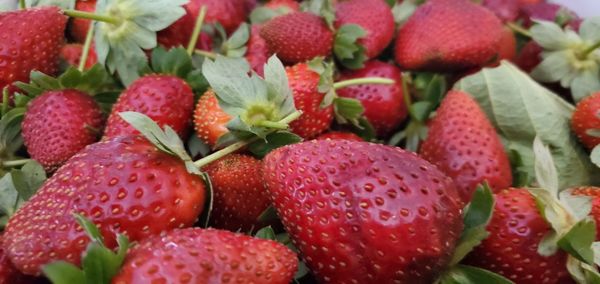 Close-up of strawberries