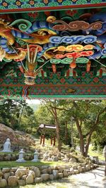 View of multi colored trees