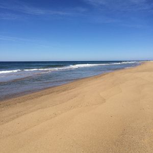 Scenic view of beach against blue sky