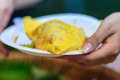 Close-up of hand holding ice cream in plate