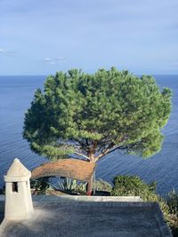 High angle view of trees by sea against sky