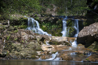 Scenic view of waterfall in forest