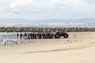 Group of people on beach buying fish